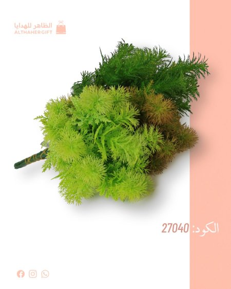 عروق خضار للزينة
