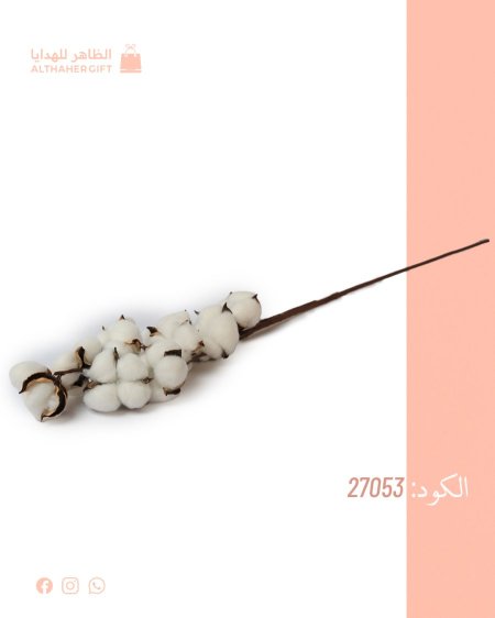 عرق قطن للزينة
