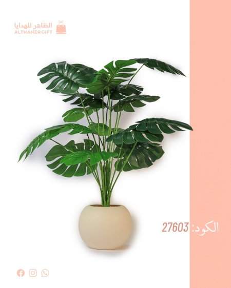 مزهرية عروق خضراء