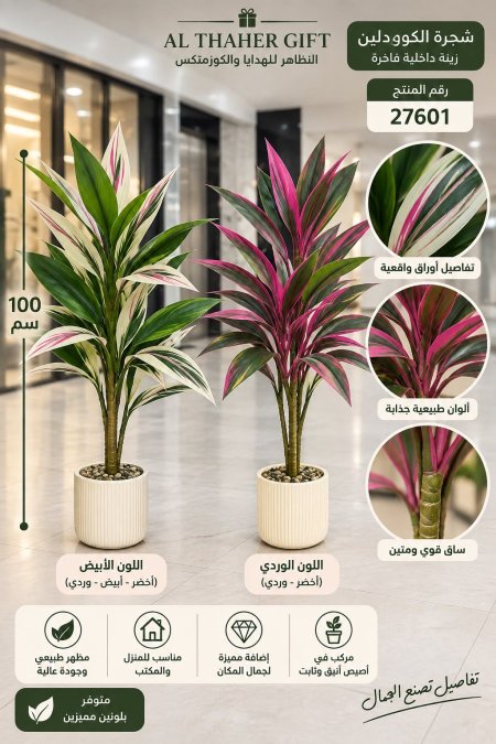 شجرة الكوردلين 100 سم
